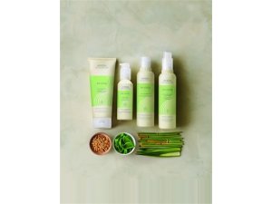 Aveda Hair Color bei Maxi Frisuren Design