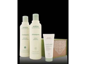 Aveda Hair Color bei Maxi Frisuren Design