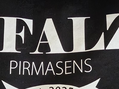 Pfalz Pirmasens - Herren Zipper – Bild 4